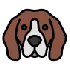 Buy Beagle Online