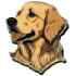 Buy Golden Retriever Online