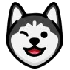 Buy Siberian Husky Online