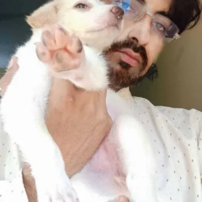 Pomeranian Price in Visakhapatnam | Pomeranian Puppies for sale in Visakhapatnam